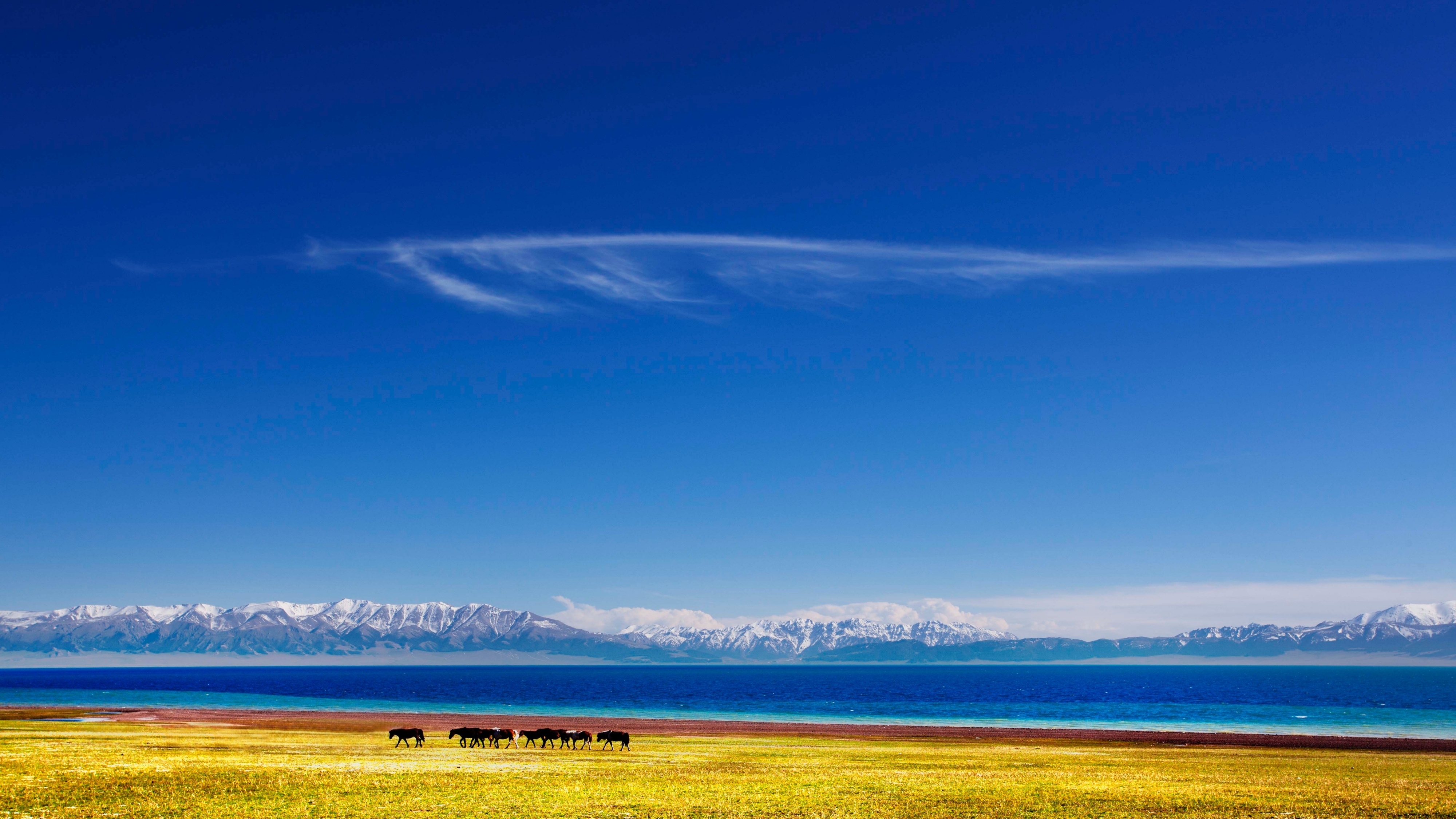 如何将宝塔上的网站迁移至1Panel