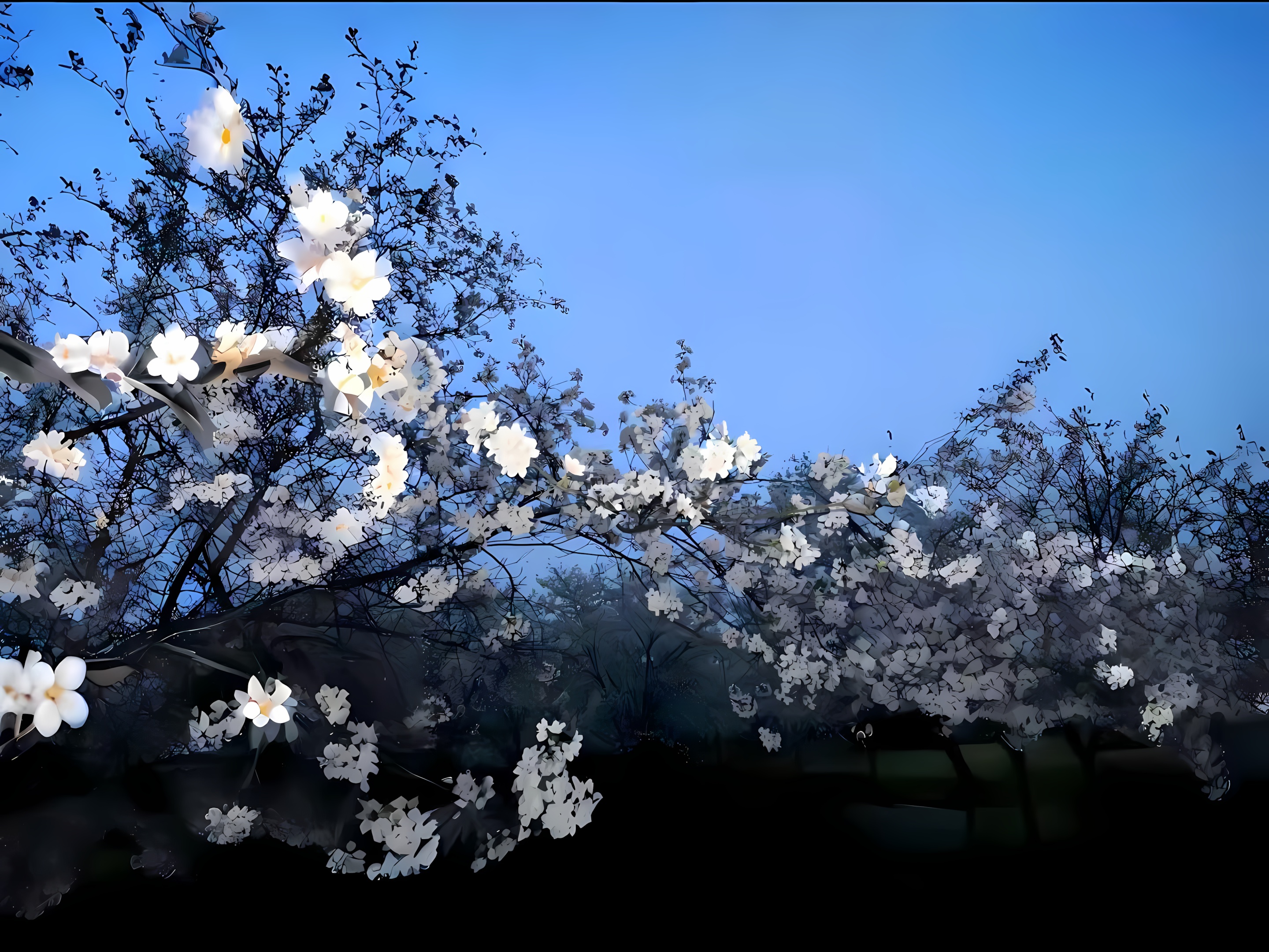  如何选择 VPS 的地区？我的实用经验与建议